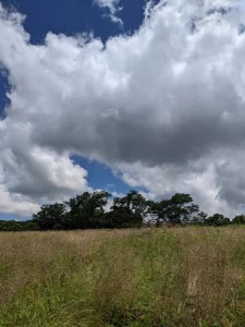A photograph of the sky over plains