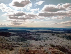 A photograph of a sparse, scrubby landscape
